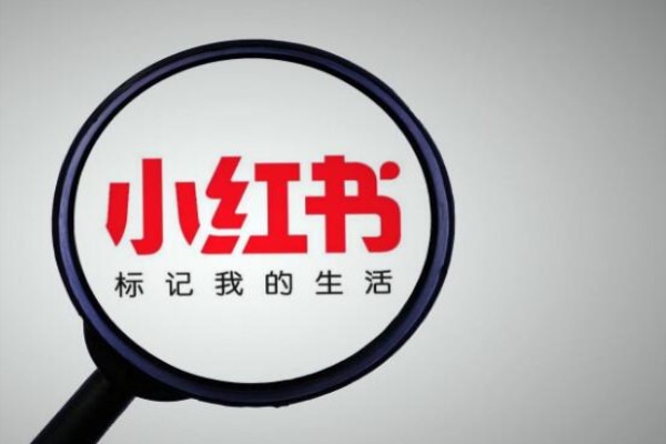 小红书蓝v可以授权几个子账号？